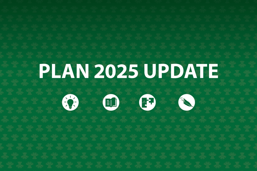 Green patterned background with repeating wheat sheaf motif and large white text reading “Plan 2025 Update.” Below the text are four white circles showing images as follows: a lightbulb, a book with a half turned page, puzzle pieces, and an eagle feather.